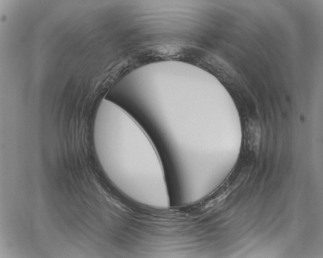X0000064750412200602101003