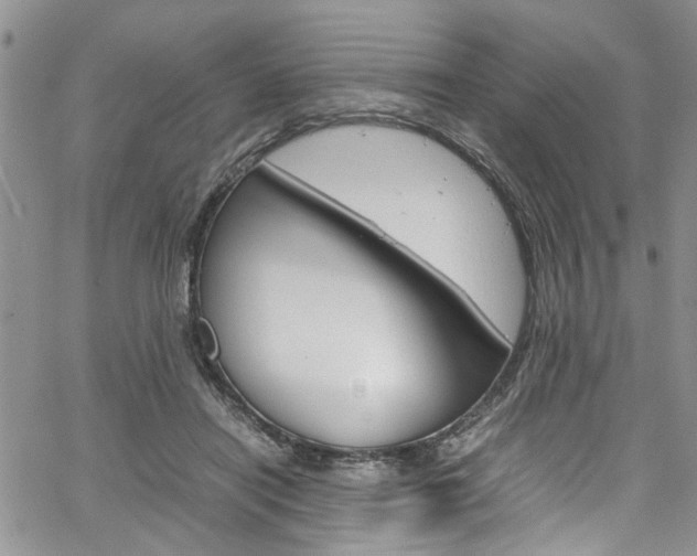 X0000064750454200602101002