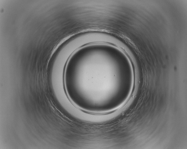X0000064750484200602101002