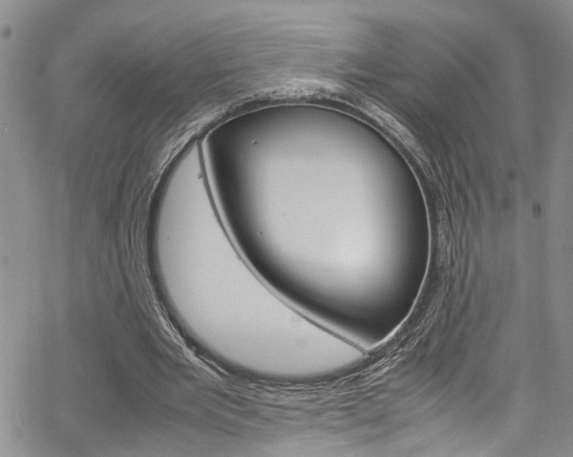 X0000064750485200602101002