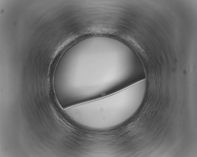 X0000064750488200602101002
