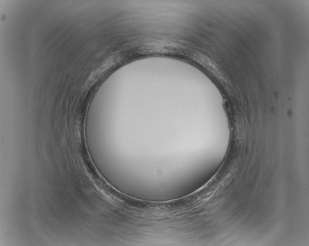 X0000064750489200602101002