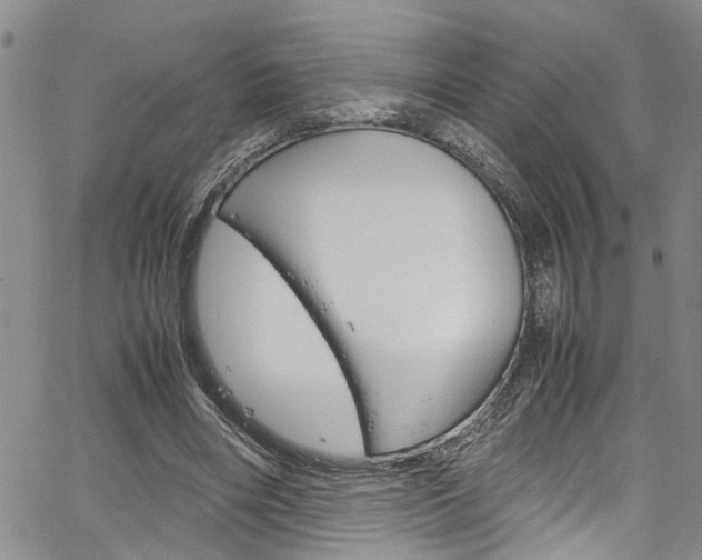 X0000064750490200602101002