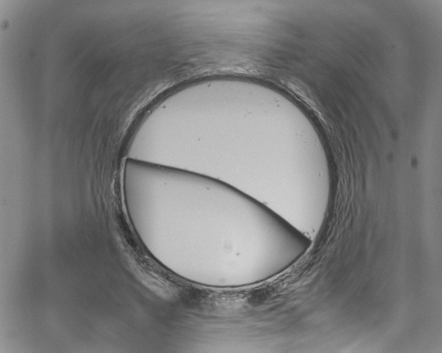 X0000064750491200602101002