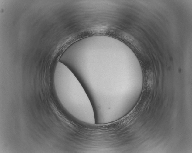 X0000064750494200602101002