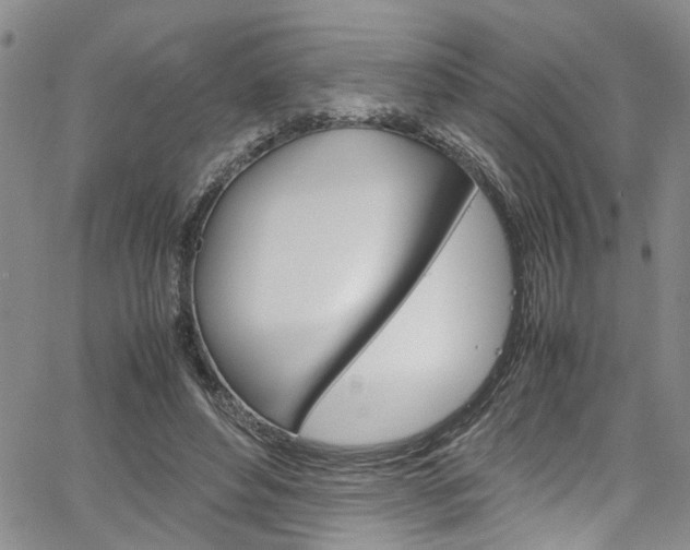 X0000064750496200602101002