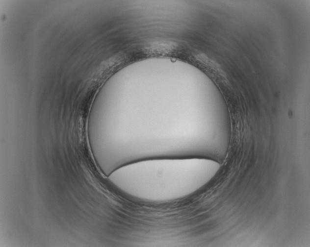 X0000064750498200602101002