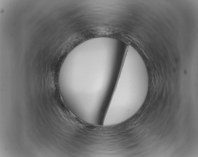X0000064750512200602101001