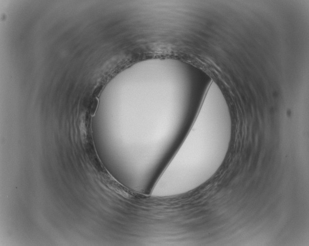 X0000064750516200602101001