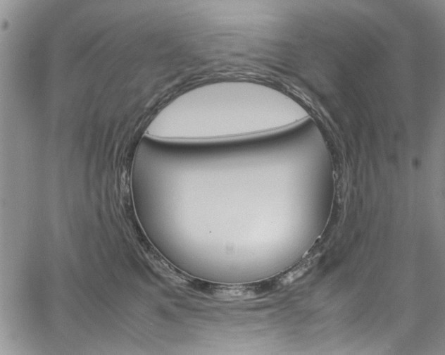 X0000064750521200602101001