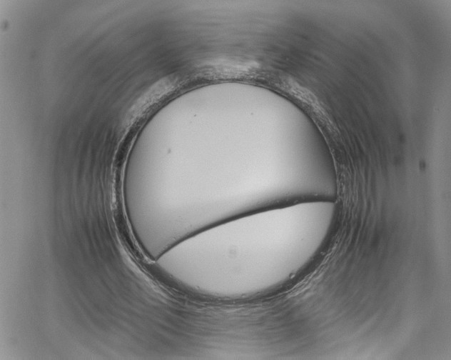 X0000064750582200602101000
