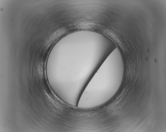 X0000064750586200602101000