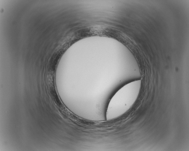 X0000064750603200602101000