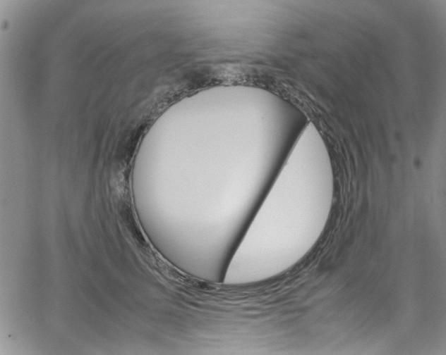 X0000064750611200602101000