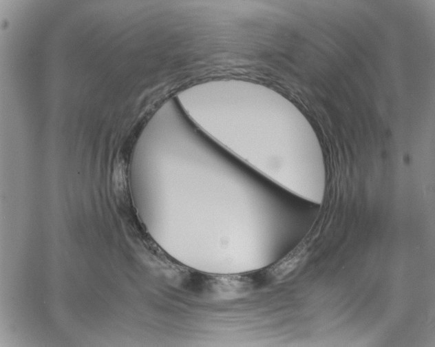 X0000064750623200602101000