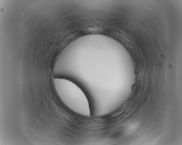 X0000064750651200602100959
