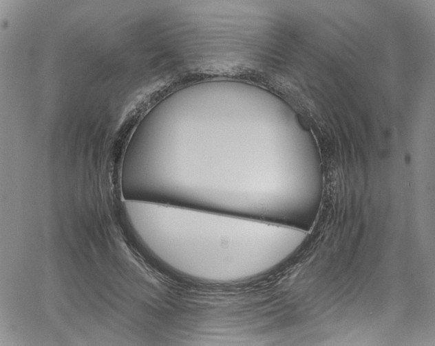 X0000064750688200602100959