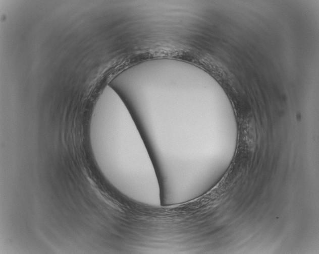 X0000064750690200602100959