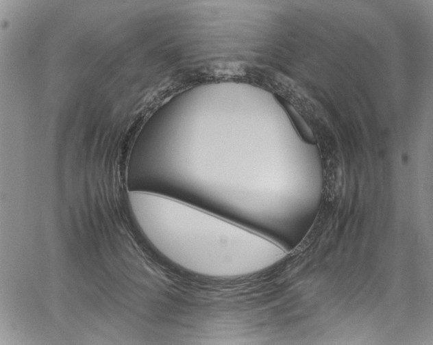 X0000064750704200602100958