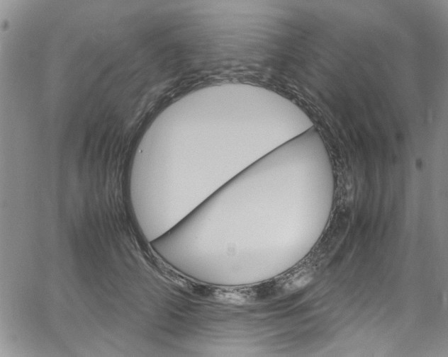 X0000064750706200602100958