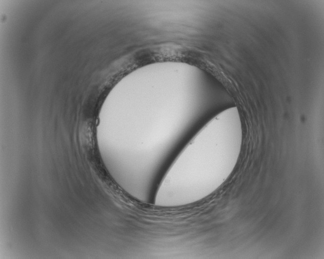 X0000064750715200602100958