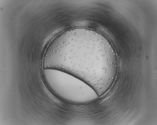X0000064750725200602100957