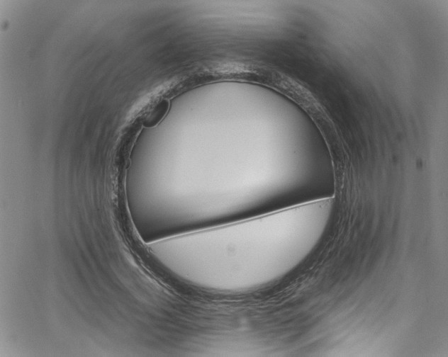 X0000064750732200602100957