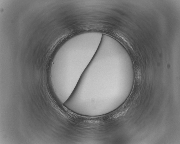 X0000064750733200602100957