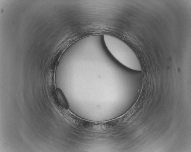 X0000064750744200602100958