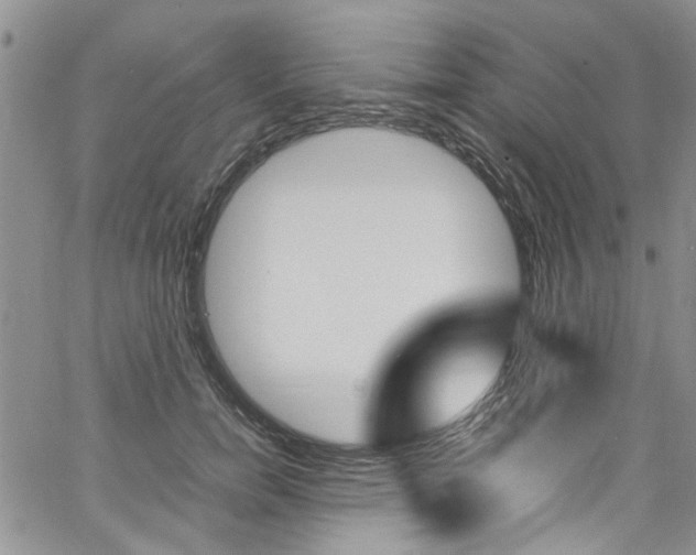 X0000064750750200602100958