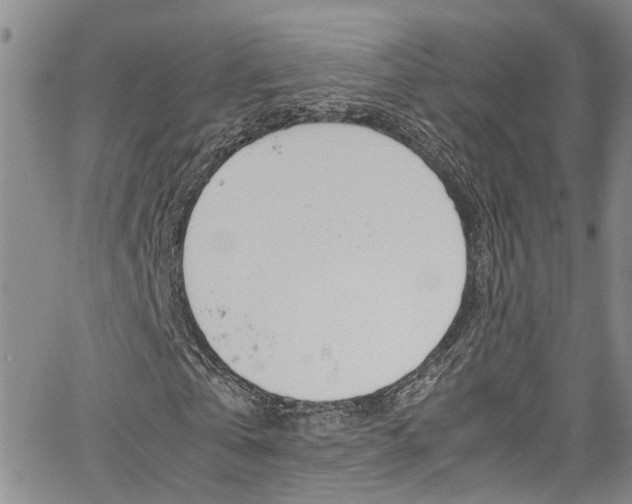 X0000064750769200602100957