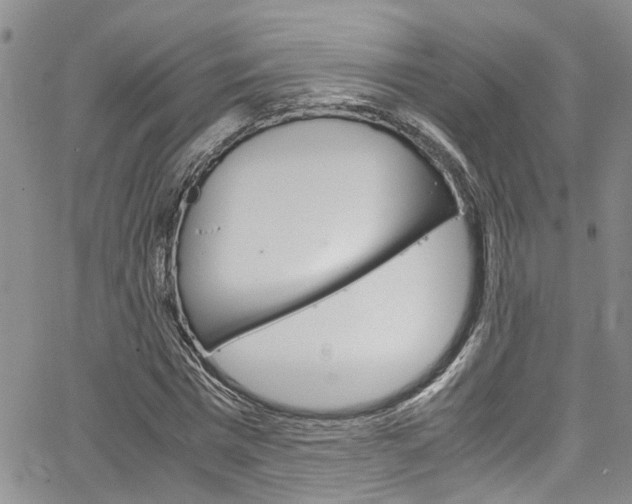 X0000064750777200602100957