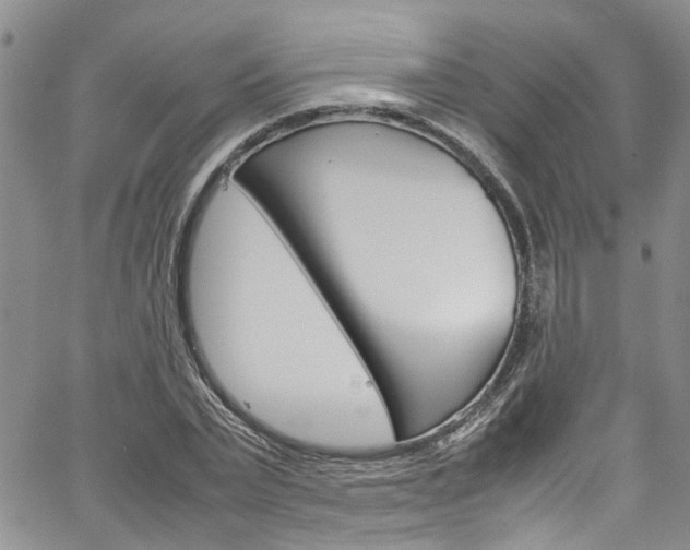 X0000064750783200602100957