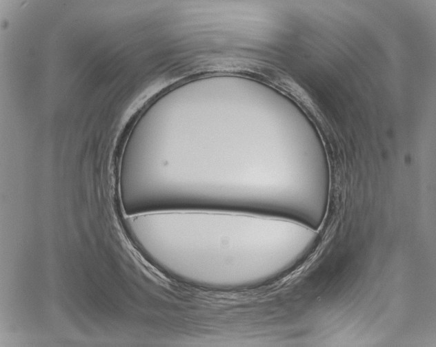 X0000064750787200602100957