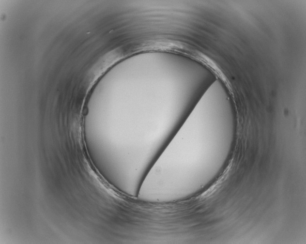 X0000064750802200602100957