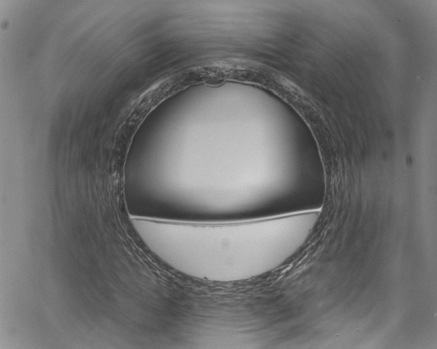 X0000064750822200602100956