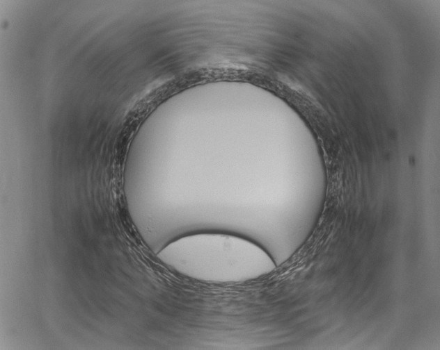 X0000064750870200602100956