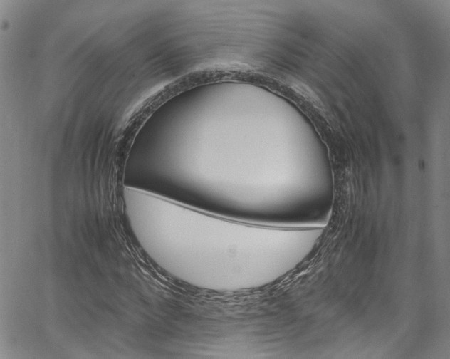 X0000064750872200602100956