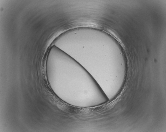 X0000064750883200602100955