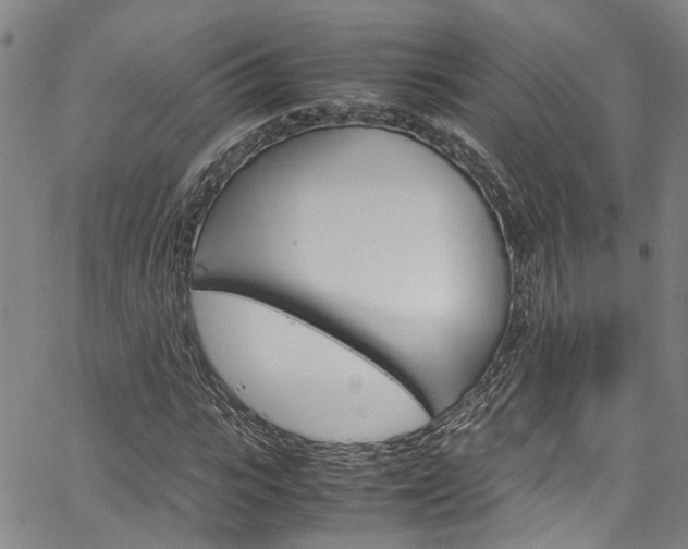 X0000064750919200602100954