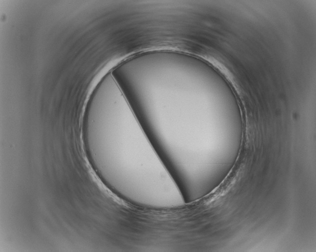 X0000064750949200602100955
