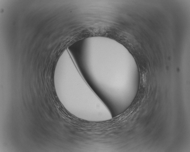 X0000064750963200602100954
