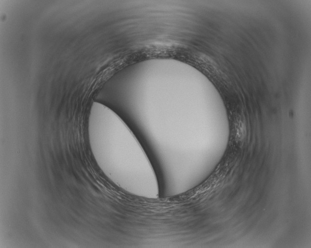 X0000064750964200602100954