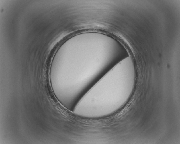X0000064750975200602100954