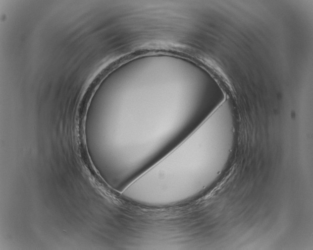 X0000064750976200602100954
