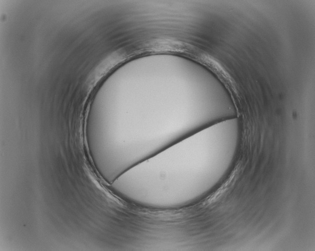 X0000064750986200602100954