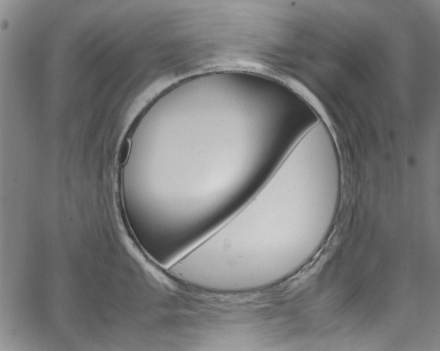X0000064751005200602100953