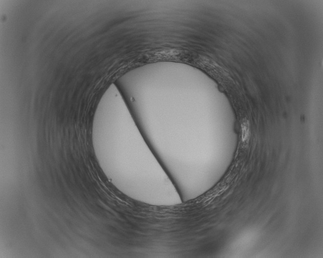 X0000064751011200602100953