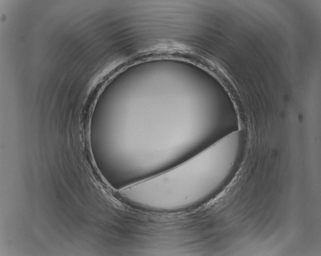 X0000064751018200602100953