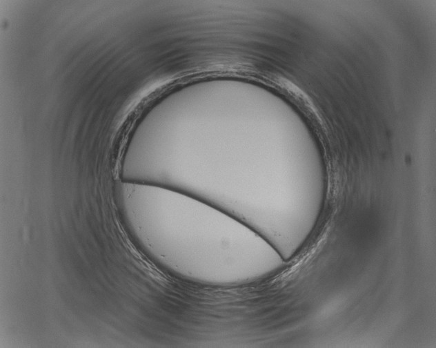 X0000064751019200602100953